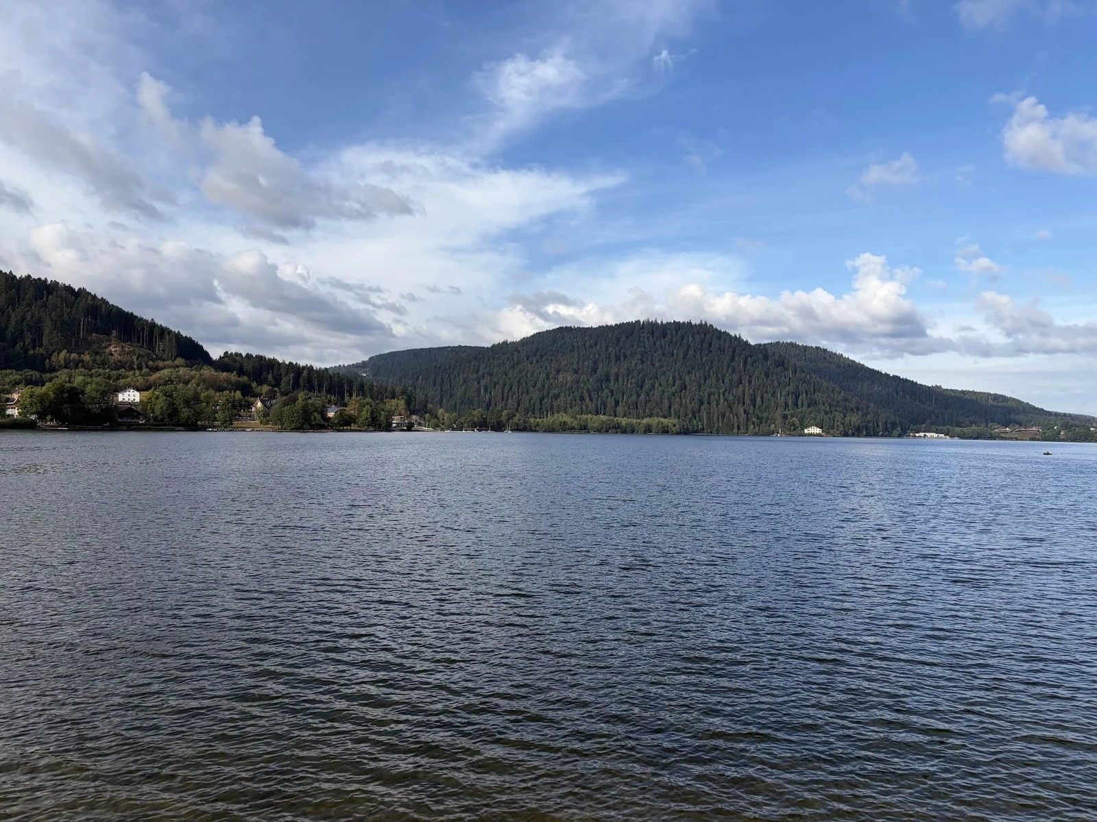 Le lac de Gérardmer et les versants boisés des Vosges vus depuis la rive